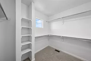 107 Cantril, Castle Rock, CO 80104 - Photo 29