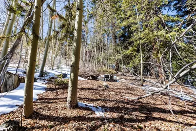 944 Roberts Road, Alma, CO 80420 - Photo 7