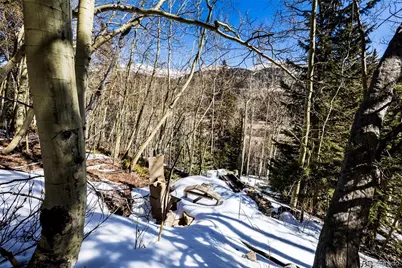 944 Roberts Road, Alma, CO 80420 - Photo 3