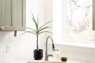 1620 Steele St, Denver, CO 80206 - Photo 13