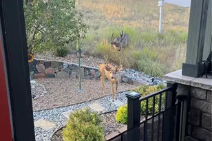 23940 E Easter Pl, Aurora, CO 80016 - Photo 47