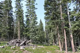 6548 Giesse Rd, San Luis, CO 81152 - Photo 9