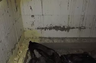 6548 Giesse Rd, San Luis, CO 81152 - Photo 45