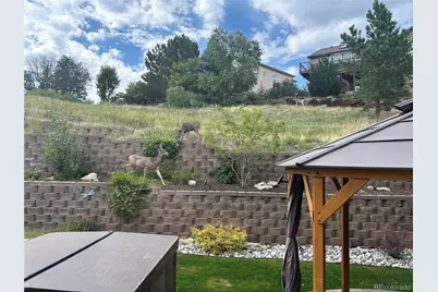 7257 Arco Iris Lane, Castle Pines, CO 80108 - Photo 29