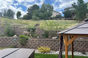 7257 Arco Iris Ln, Castle Pines, CO 80108 - Photo 29