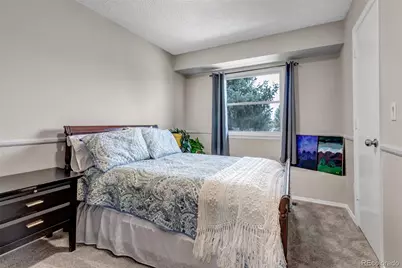 710 Howe Court, Castle Rock, CO 80104 - Photo 17