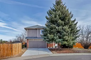 710 Howe Ct, Castle Rock, CO 80104 - Photo 25