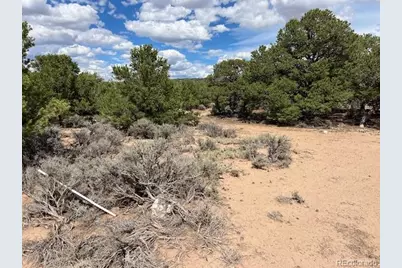 Lot 8 Coyote Court, San Luis, CO 81152 - Photo 5