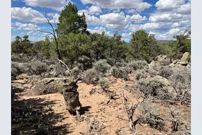 Lot 8 Coyote Court, San Luis, CO 81152 - Photo 17