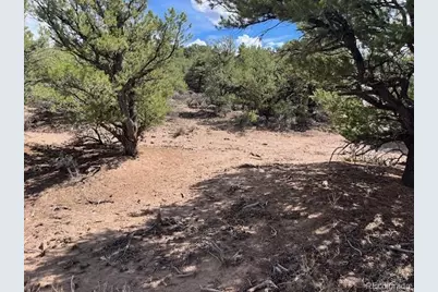 Lot 8 Coyote Court, San Luis, CO 81152 - Photo 19