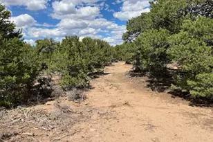 Lot 8 Coyote Ct, San Luis, CO 81152 - Photo 1