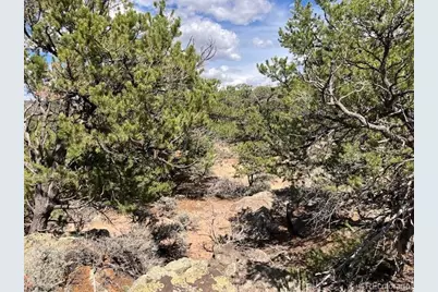 Lot 8 Coyote Court, San Luis, CO 81152 - Photo 13