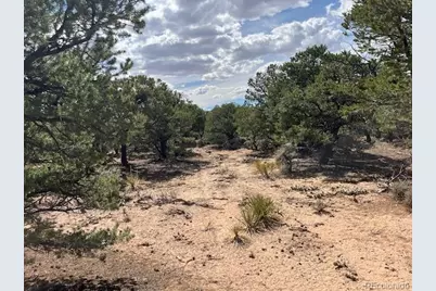 Lot 8 Coyote Court, San Luis, CO 81152 - Photo 11