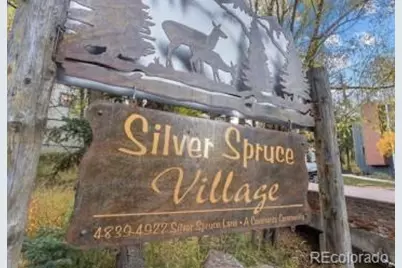 4885 Silver Spruce Lane, Evergreen, CO 80439 - Photo 33