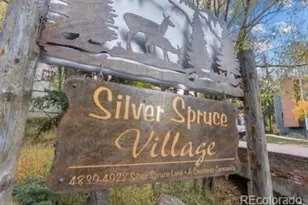 4885 Silver Spruce Ln, Evergreen, CO 80439 - Photo 33