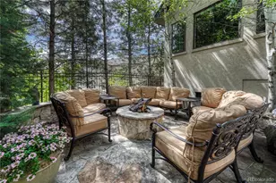 1033 Buffalo Ridge Rd, Castle Pines, CO 80108 - Photo 49