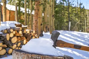 1645 Little Bear Creek Rd, Idaho Springs, CO 80452 - Photo 41