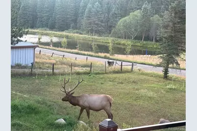 26955 Stagecoach Road, Conifer, CO 80433 - Photo 39