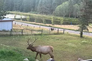 26955 Stagecoach Rd, Conifer, CO 80433 - Photo 39