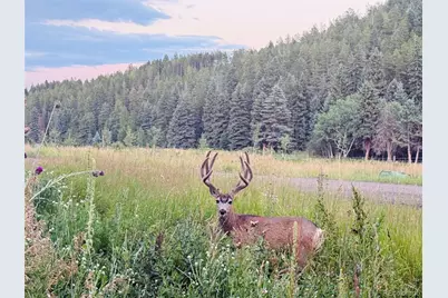 26955 Stagecoach Road, Conifer, CO 80433 - Photo 37