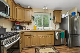 201 Larissa Ln, Buena Vista, CO 81211 - Photo 21