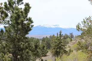 8221 Remington Rd, Como, CO 80432 - Photo 11