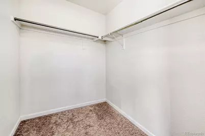 1506 Wild Cat Mountain Road, Castle Rock, CO 80109 - Photo 15