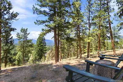 278 Hayes Street, Bailey, CO 80421 - Photo 37