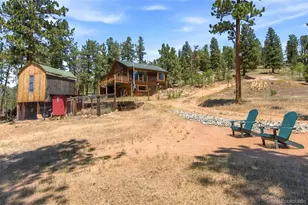 278 Hayes St, Bailey, CO 80421 - Photo 39