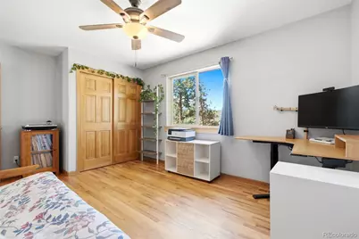 278 Hayes Street, Bailey, CO 80421 - Photo 23