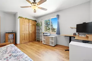 278 Hayes St, Bailey, CO 80421 - Photo 23