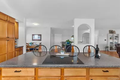 34150 E 25th Avenue, Watkins, CO 80137 - Photo 9