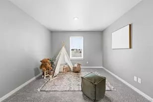 2311 Rosette Ln, Castle Rock, CO 80104 - Photo 23