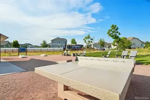 4988 Priors Dr, Windsor, CO 80550 - Photo 39