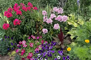 1833 Yellowstone Creek Rd, La Veta, CO 81055 - Photo 49