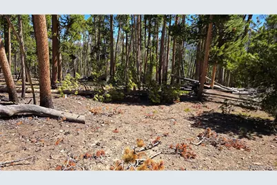 000 Summit Gulch Road, Breckenridge, CO 80424 - Photo 31