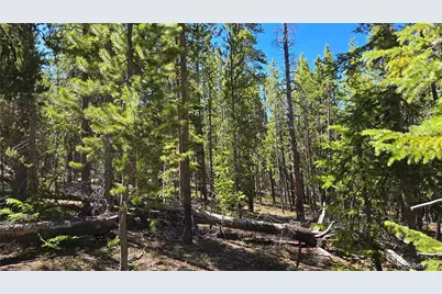 000 Summit Gulch Road, Breckenridge, CO 80424 - Photo 19