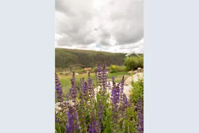 1001 Cr 17 Gunnison Cabin, Lake City, CO 81235 - Photo 13