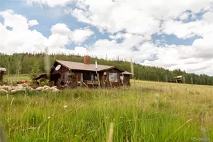 1001 Cr 17 Gunnison Cabin, Lake City, CO 81235 - Photo 3