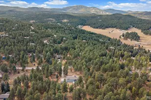 8836 Surrey Dr, Evergreen, CO 80439 - Photo 41