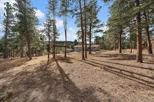 8836 Surrey Dr, Evergreen, CO 80439 - Photo 37