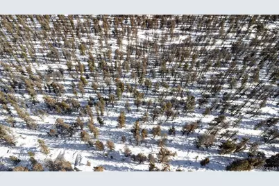 1348 Middle Fork Vista, Fairplay, CO 80440 - Photo 15