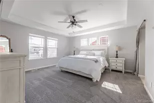 2788 Dreamcatcher Loop, Castle Rock, CO 80109 - Photo 19