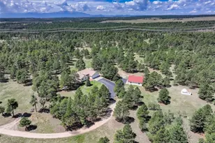 11570 Milford Rd, Elbert, CO 80106 - Photo 47