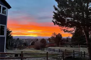 7459 La Quinta Pl, Lone Tree, CO 80124 - Photo 31