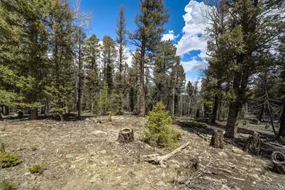 1430 Singletree Road, Hartsel, CO 80449 - Photo 17