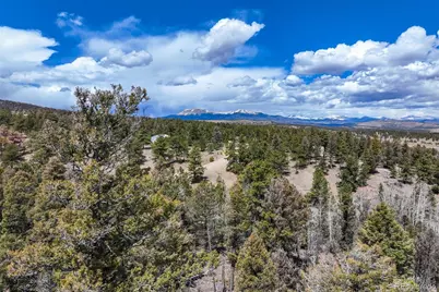 1430 Singletree Road, Hartsel, CO 80449 - Photo 13