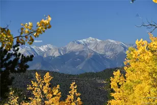 115 Mushroom Ct, Buena Vista, CO 81211 - Photo 3