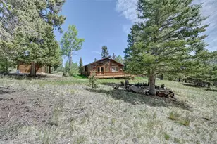 115 Mushroom Ct, Buena Vista, CO 81211 - Photo 13
