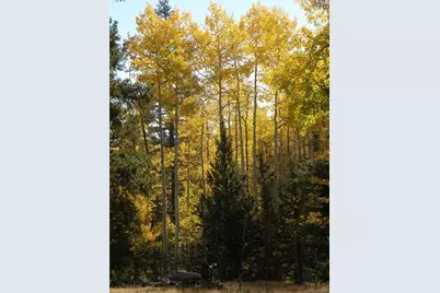 115 Mushroom Court, Buena Vista, CO 81211 - Photo 49